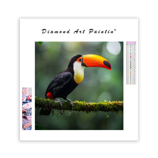 Toucan Rainforest - Diamond Painting