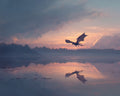 Dragon Over Lake - Diamond Painting