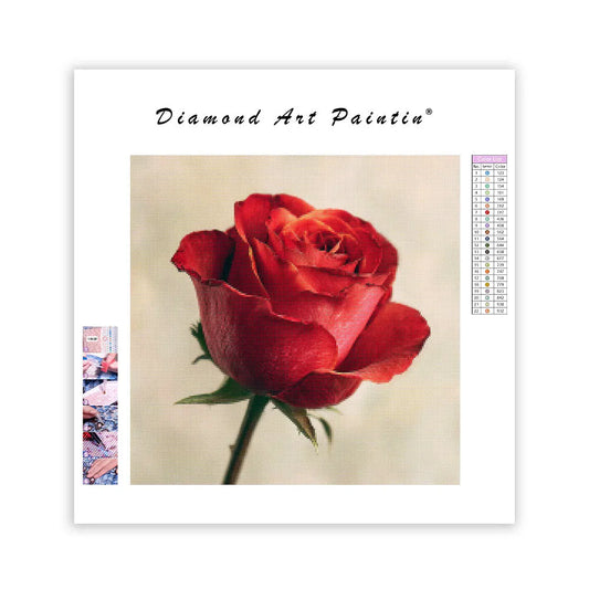 Detailed Red Rose - Diamond Painting