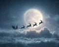Santa’s Sleigh Ride - Diamond Painting