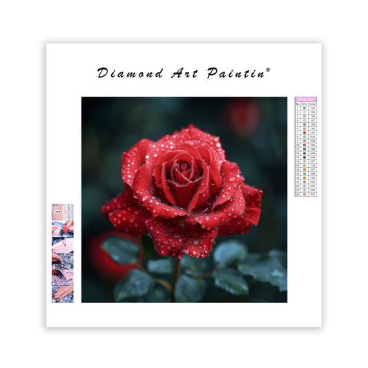 Velvet Rose - Diamond Painting