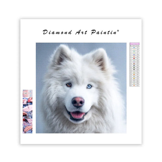 Samoyed Gentle Smile - Diamond Painting