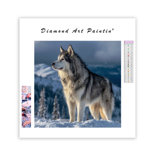 Alaskan Malamute Gazing - Diamond Painting