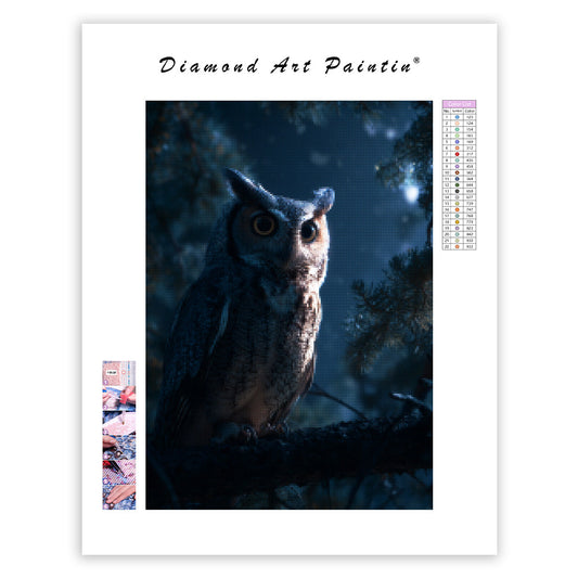 Owl in the Forest at Night - Diamond Painting