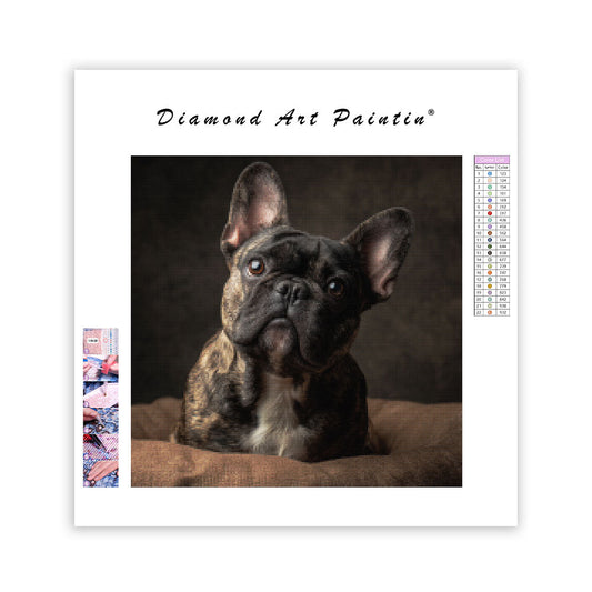 French Bulldog Adoring Gaze - Diamond Painting