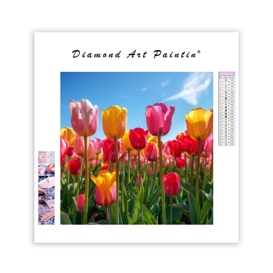 Tulip Parade - Diamond Painting