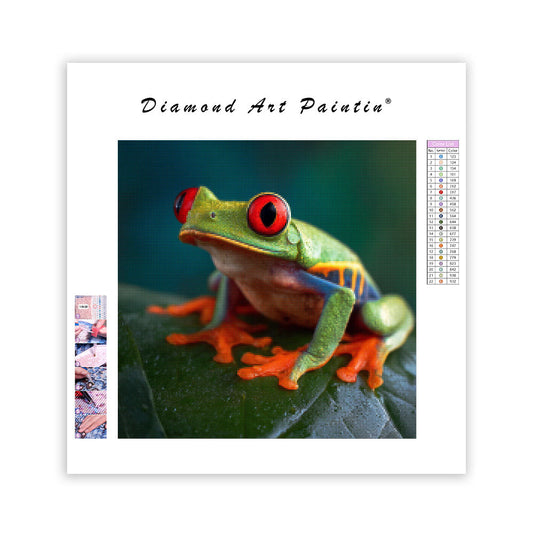 Red-eyed Tree Frog - Diamond Painting