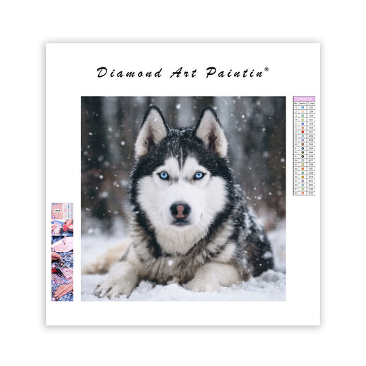 Husky in Snow - Diamond Painting