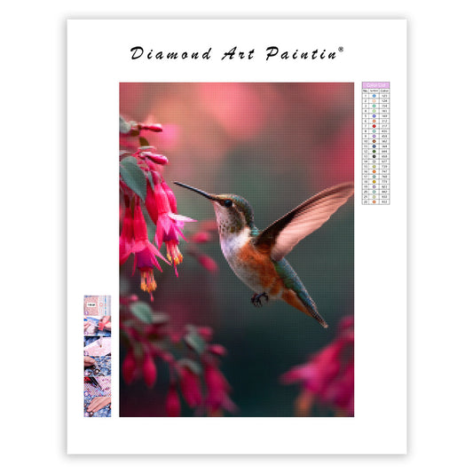 Hummingbird Feeding on Flowers - Diamond Painting