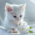 Gardenia White Cat - Diamond Painting