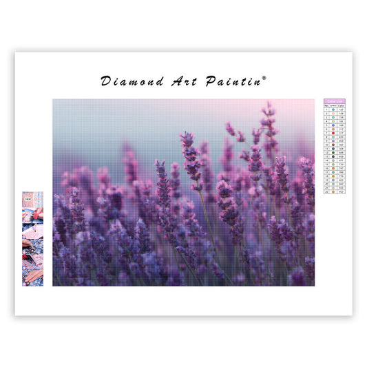 Lavender - Diamond Painting