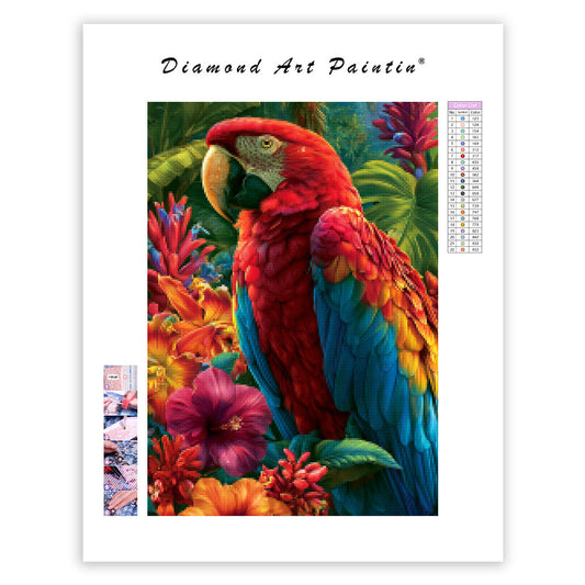 Rainbow Macaw - Diamond Painting