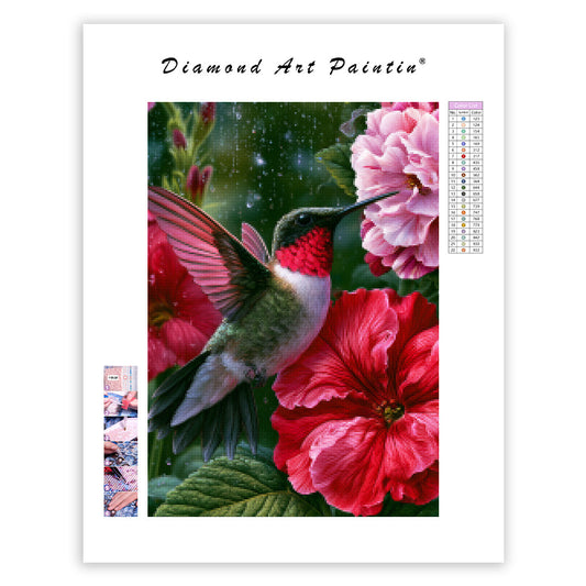 Ruby Hummingbird - Diamond Painting