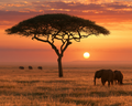 African Savanna Sunset - Diamond Painting