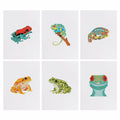 MINI-Tropical Frogs