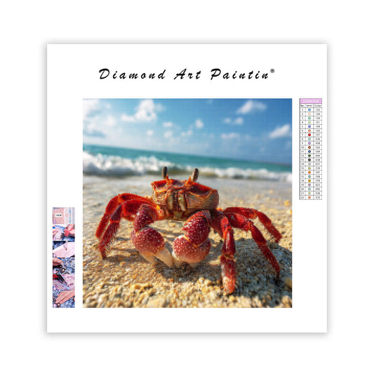Fiddler Crab on Sand - Diamond Painting