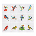 Mini-Vibrant Birds of Nature