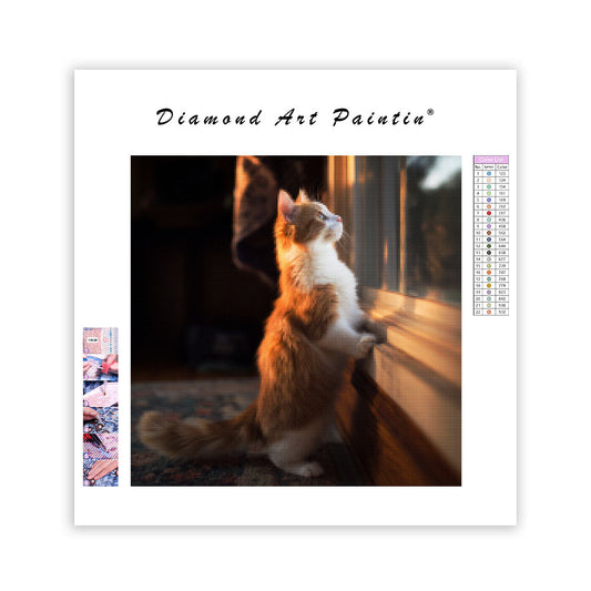 Munchkin Cat Window Gazing - Diamond Painting
