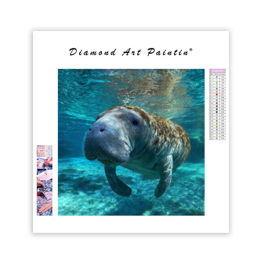 Gentle Manatee - Diamond Painting