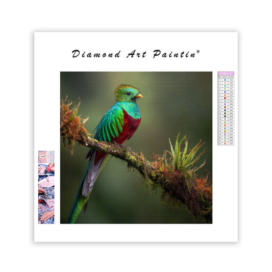 Resplendent Quetzal - Diamond Painting