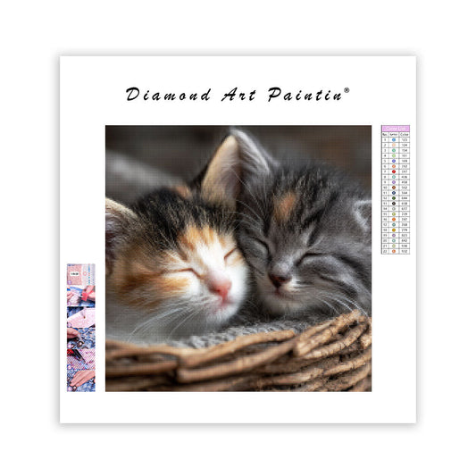 Kittens' Cuddly Slumber - Diamond Painting