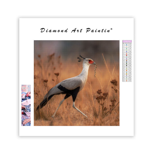 Secretary Bird Hunting - Diamond Painting