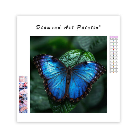 Blue Morpho Beauty - Diamond Painting