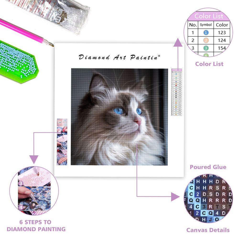 Ragdoll Blue Eyes - Diamond Painting