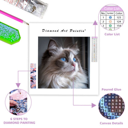 Ragdoll Blue Eyes - Diamond Painting