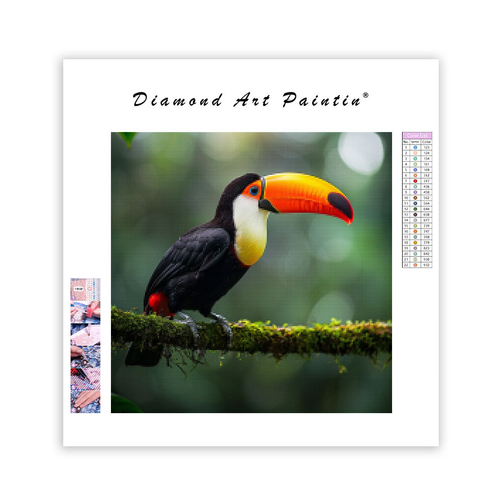 Toucan Rainforest - Diamond Painting