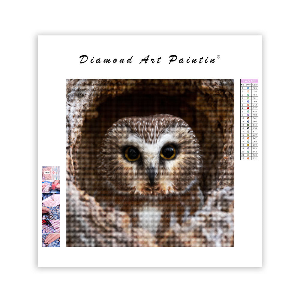 Saw-whet Owl Peeking - Diamond Painting
