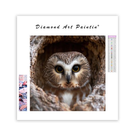 Saw-whet Owl Peeking - Diamond Painting