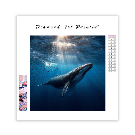 Humpback Whale Ascending - Diamond Painting