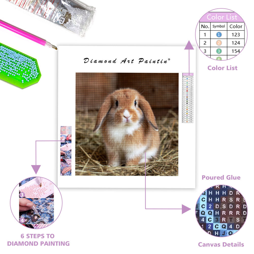 Holland Lop Bunny - Diamond Painting