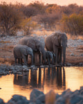 Elephant Family at the Waterhole - Diamond Painting