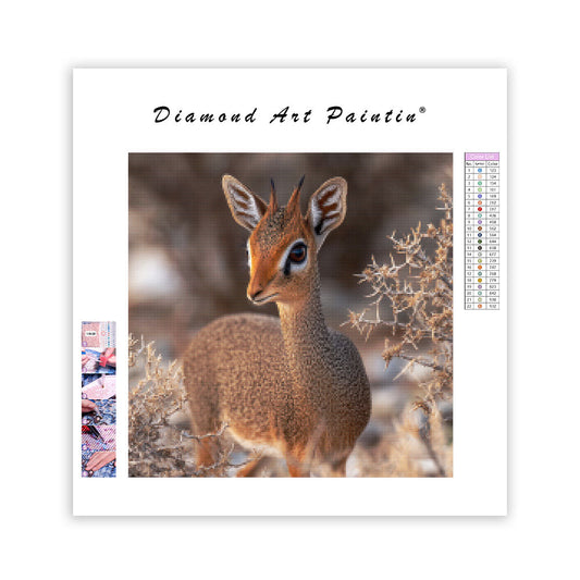 Dik-dik Antelope - Diamond Painting