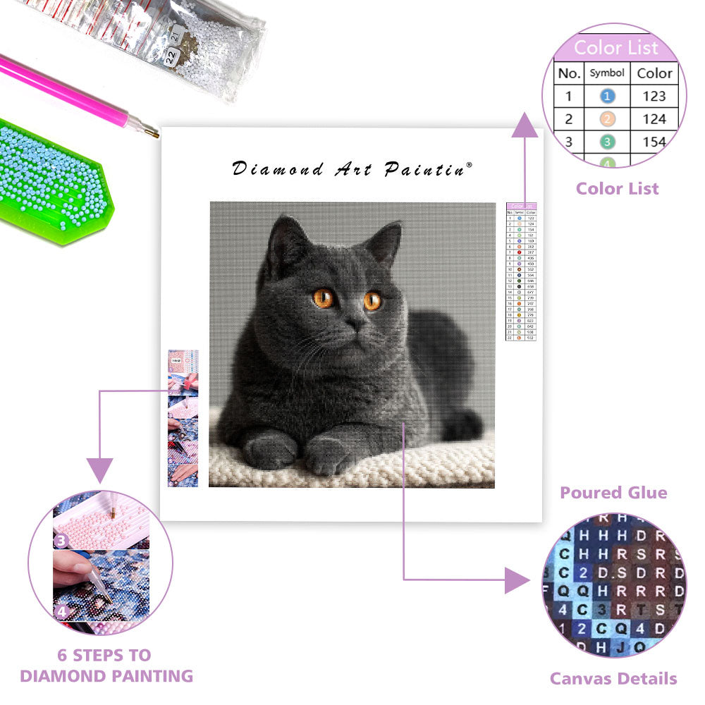 Silver Gray Gaze - Diamond Painting