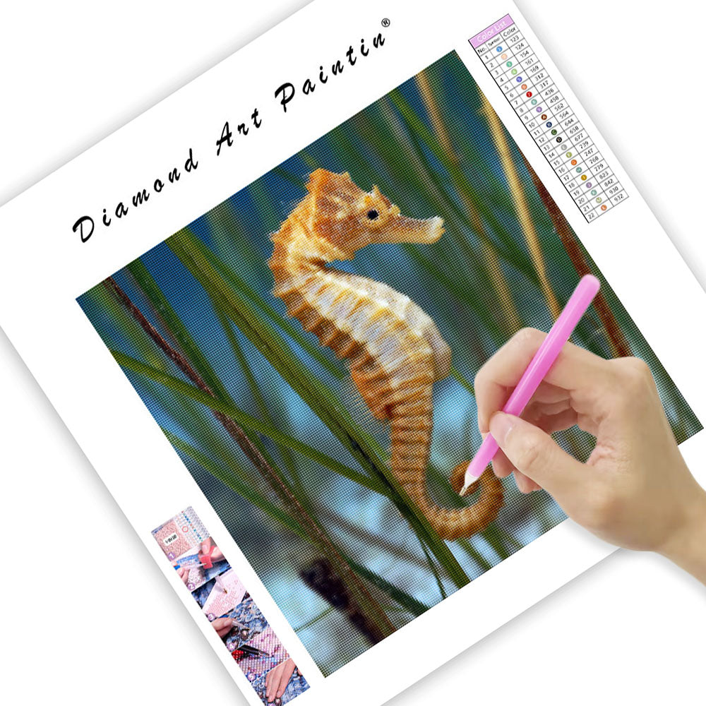 Seahorse on Seagrass - Diamond Painting