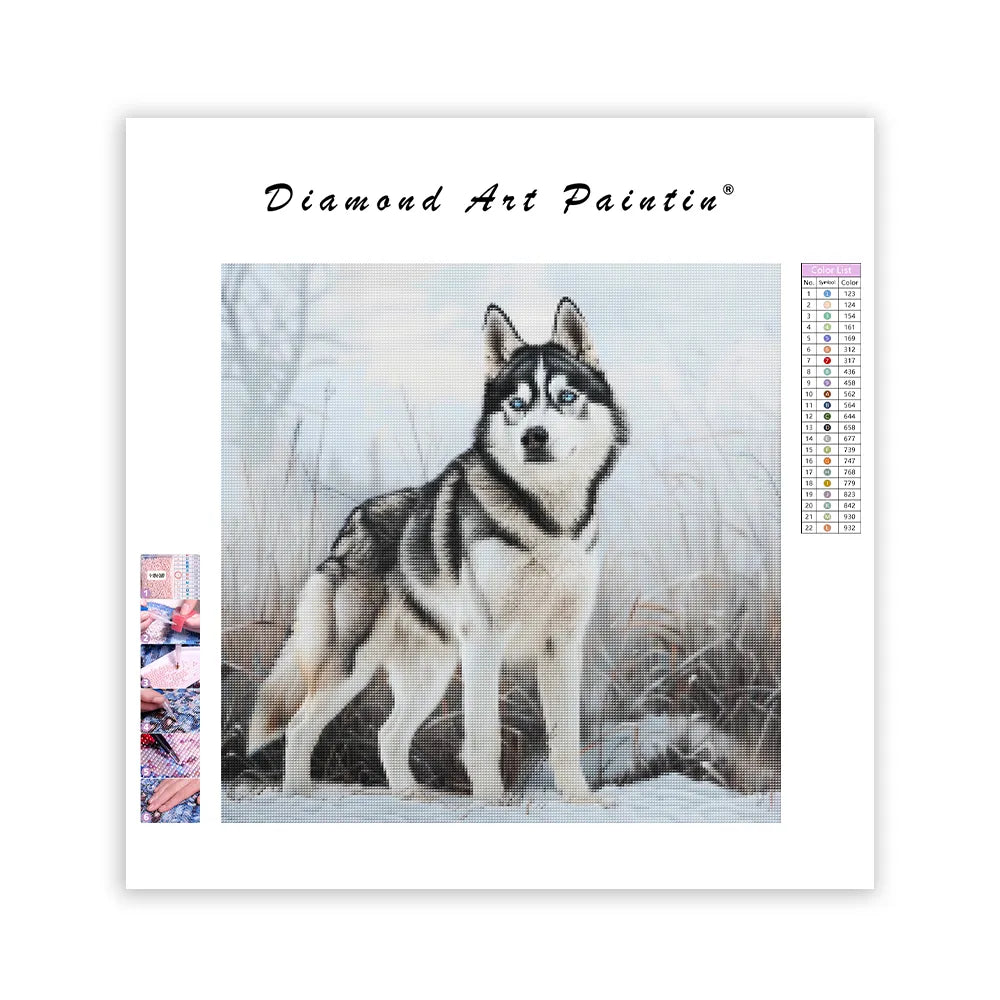 Husky in Snow - Diamond Painting