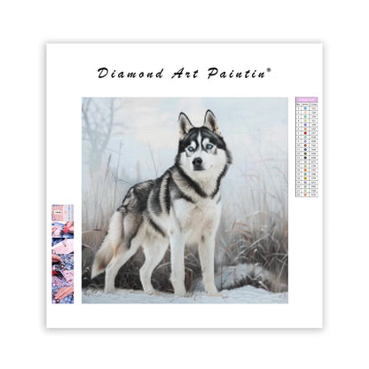 Husky in Snow - Diamond Painting