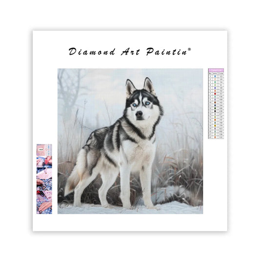 Husky in Snow - Diamond Painting