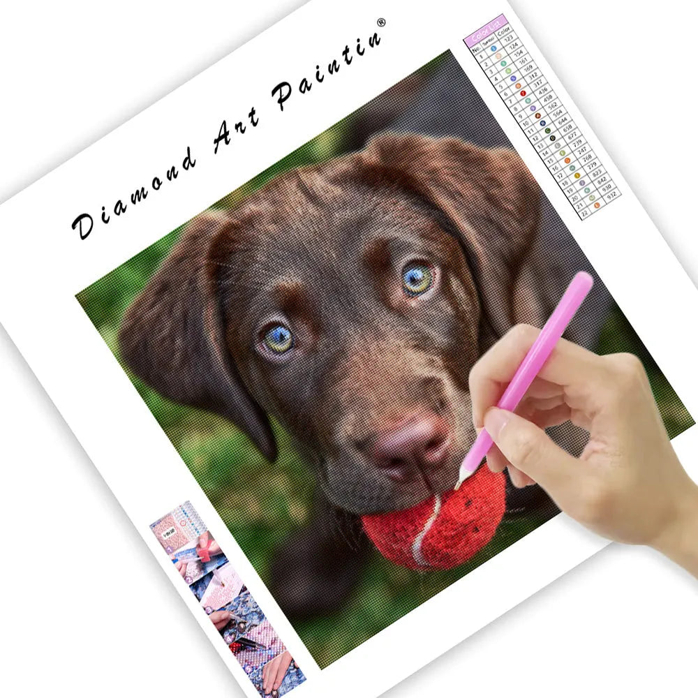 Playful Lab Puppy - Diamond Painting