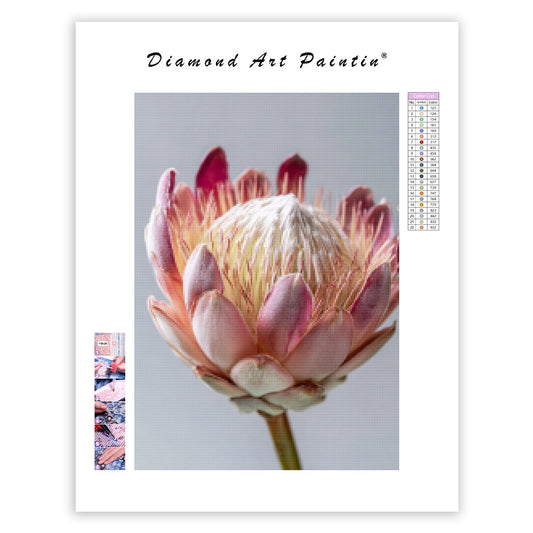 Protea Flower Head - Diamond Painting