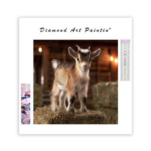 Palomino Horse in Stream - Diamond Painting