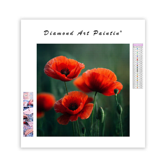 Red Poppies in Green Meadow - Diamond Painting