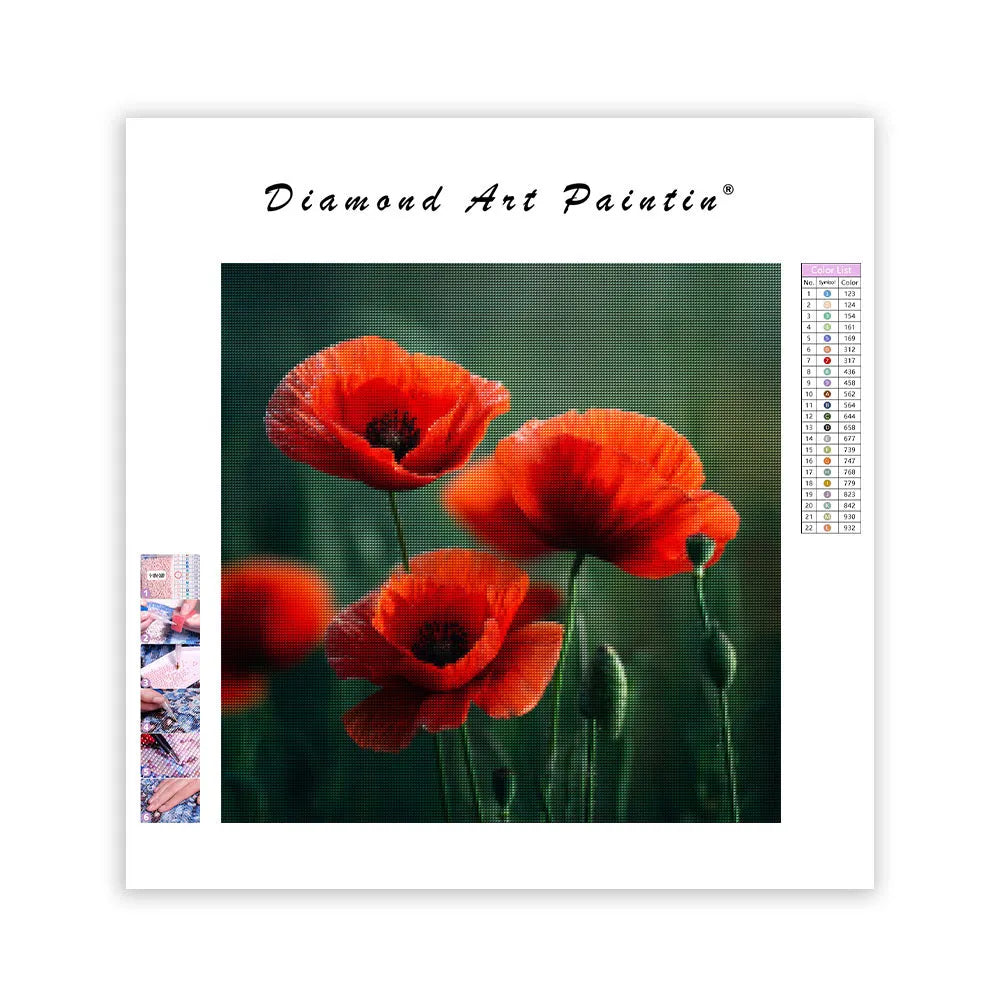Red Poppies in Green Meadow - Diamond Painting