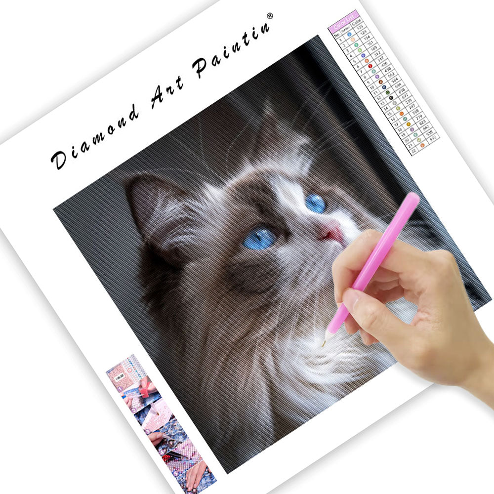 Ragdoll Blue Eyes - Diamond Painting