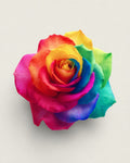 Rainbow Rose Bloom - Diamond Painting