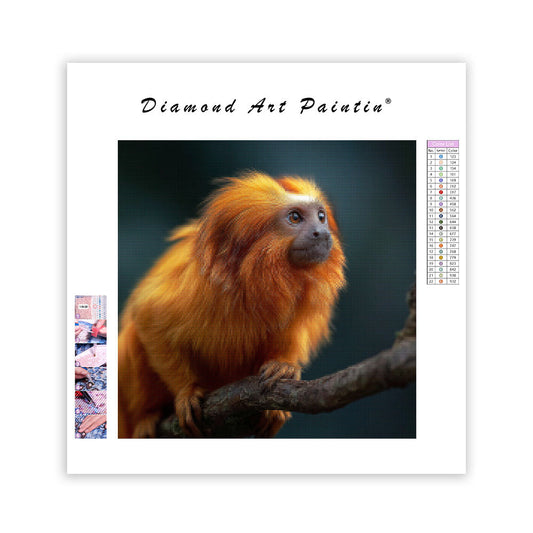 Golden Lion Tamarin - Diamond Painting