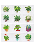 Mini-Leafy Green Paradise